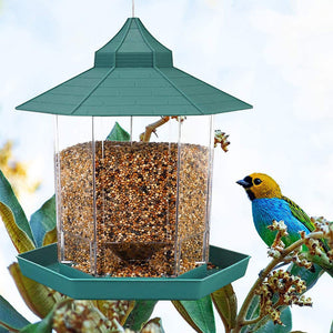Attract Nature: The Ultimate Bird Feeder Experience