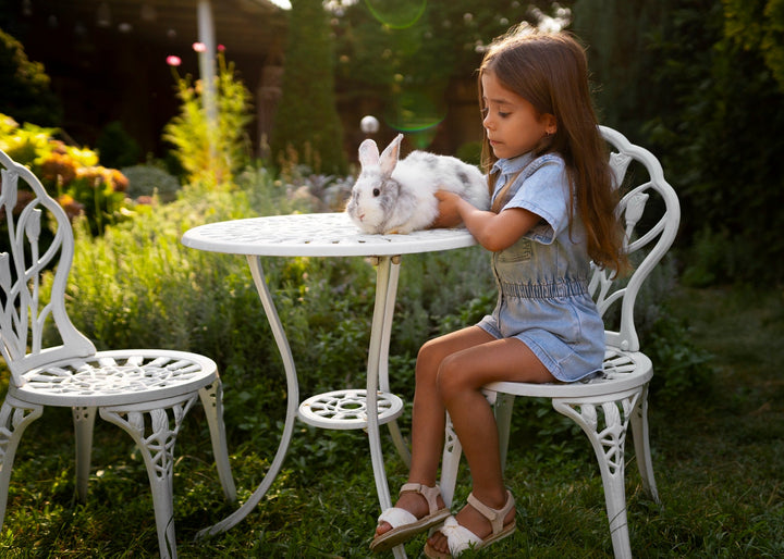 Fun & Enrichment: Why Toys Matter for Small Pets