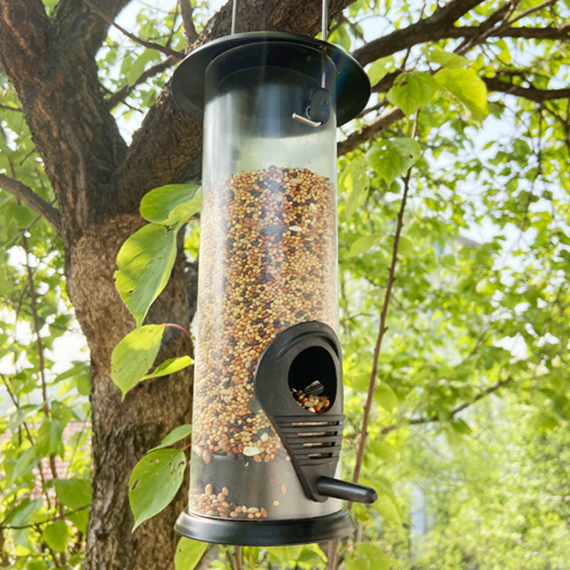 Transform Your Garden with Our Hanging Automatic Bird Feeder