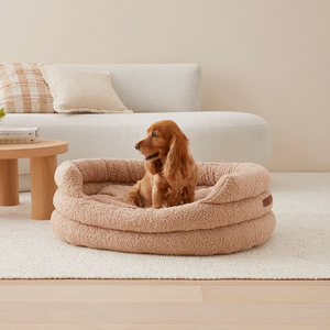 The Importance of a Cozy Bed for Your Pet