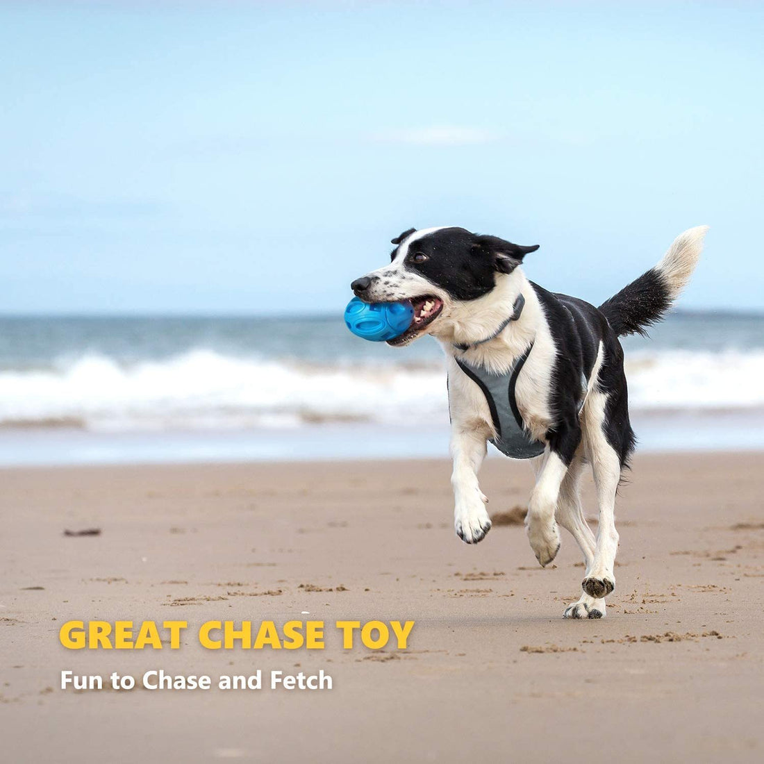 Pet Supplies Dog Toys Rubber Sounding Rugby