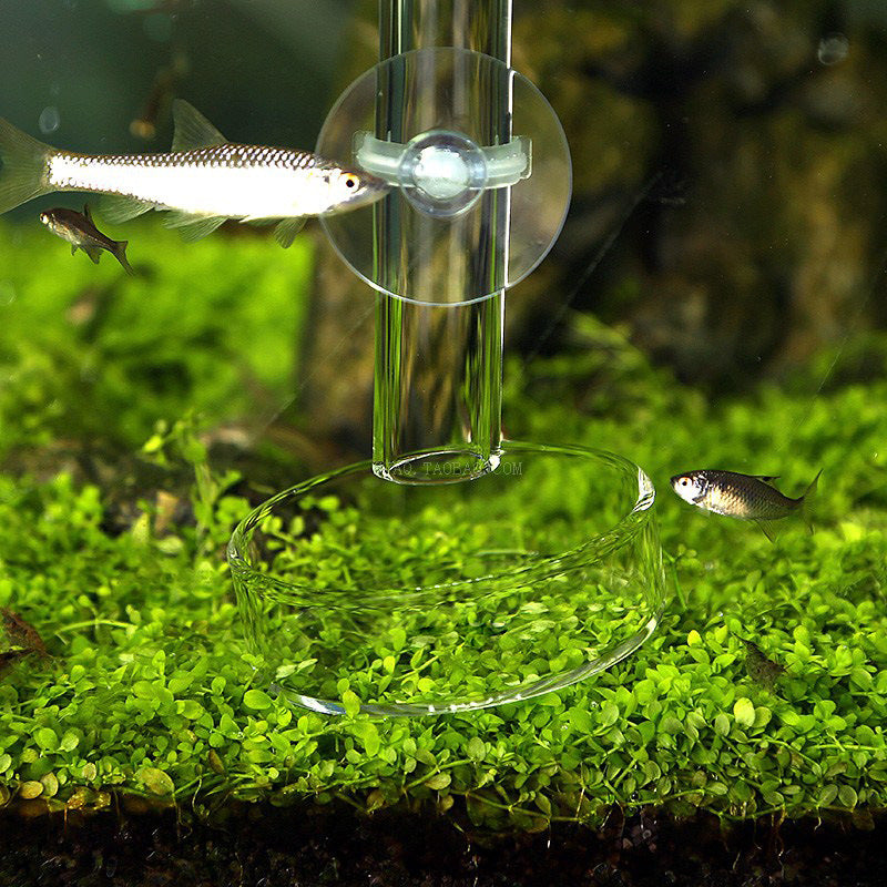 Fish Tank Feeding Tube Crystal Shrimp