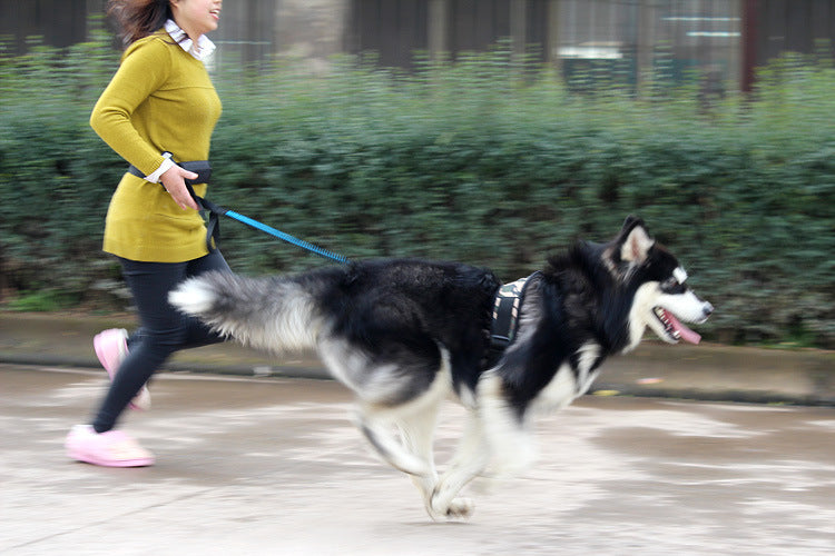 Multifunctional running dog leash
