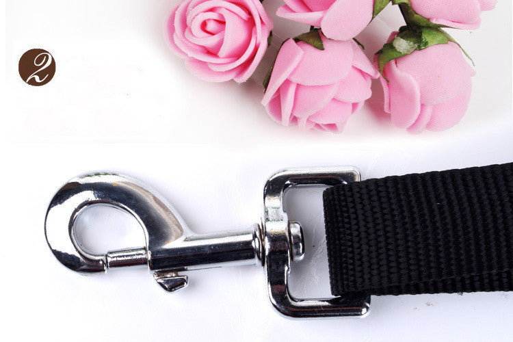 Multifunctional running dog leash