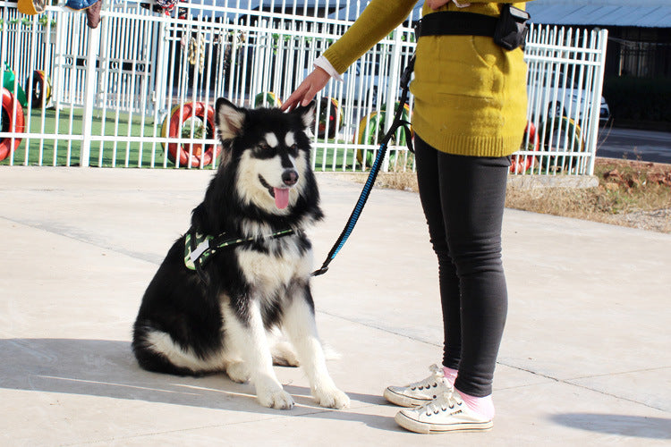 Multifunctional running dog leash