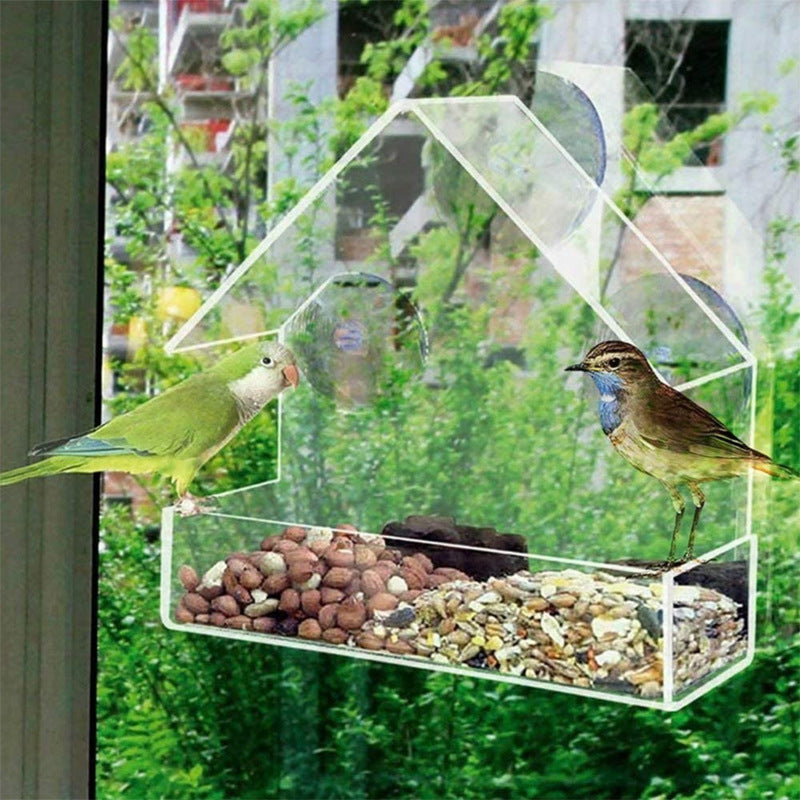 Acrylic Bird Food Bowl With Suction Cup