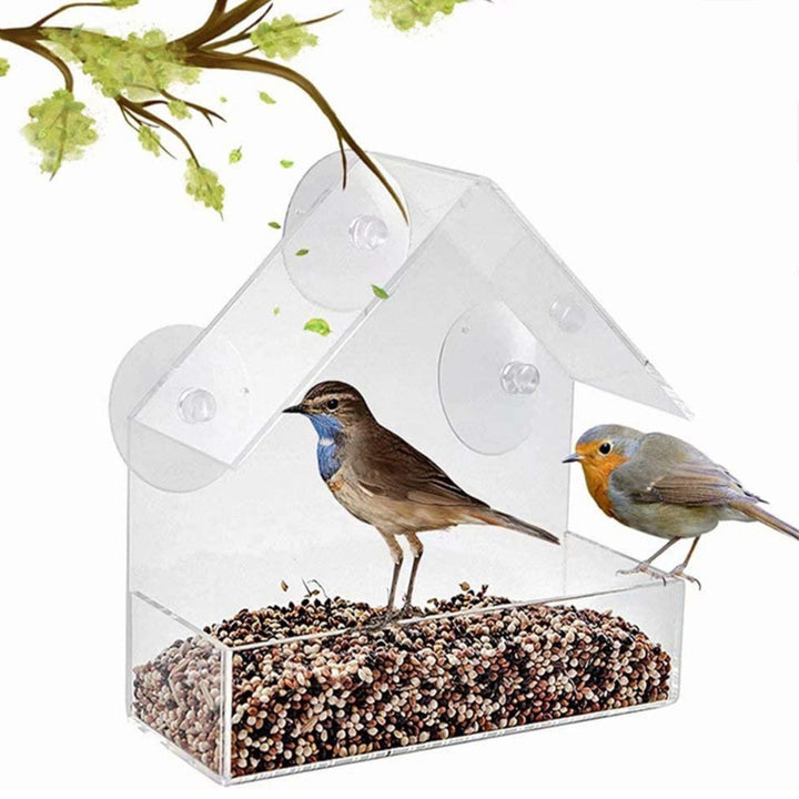 Acrylic Bird Food Bowl With Suction Cup