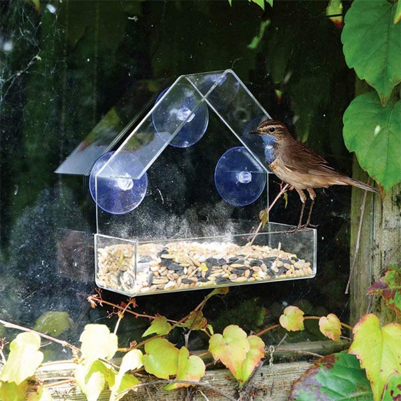 Acrylic Bird Food Bowl With Suction Cup
