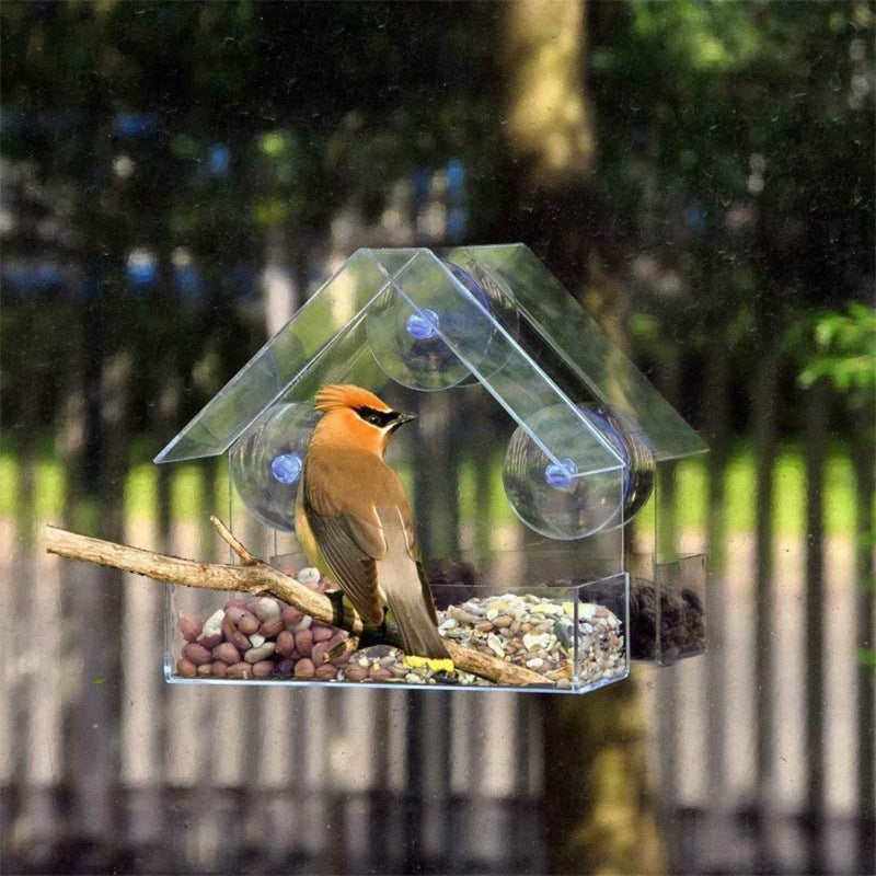 Acrylic Bird Food Bowl With Suction Cup