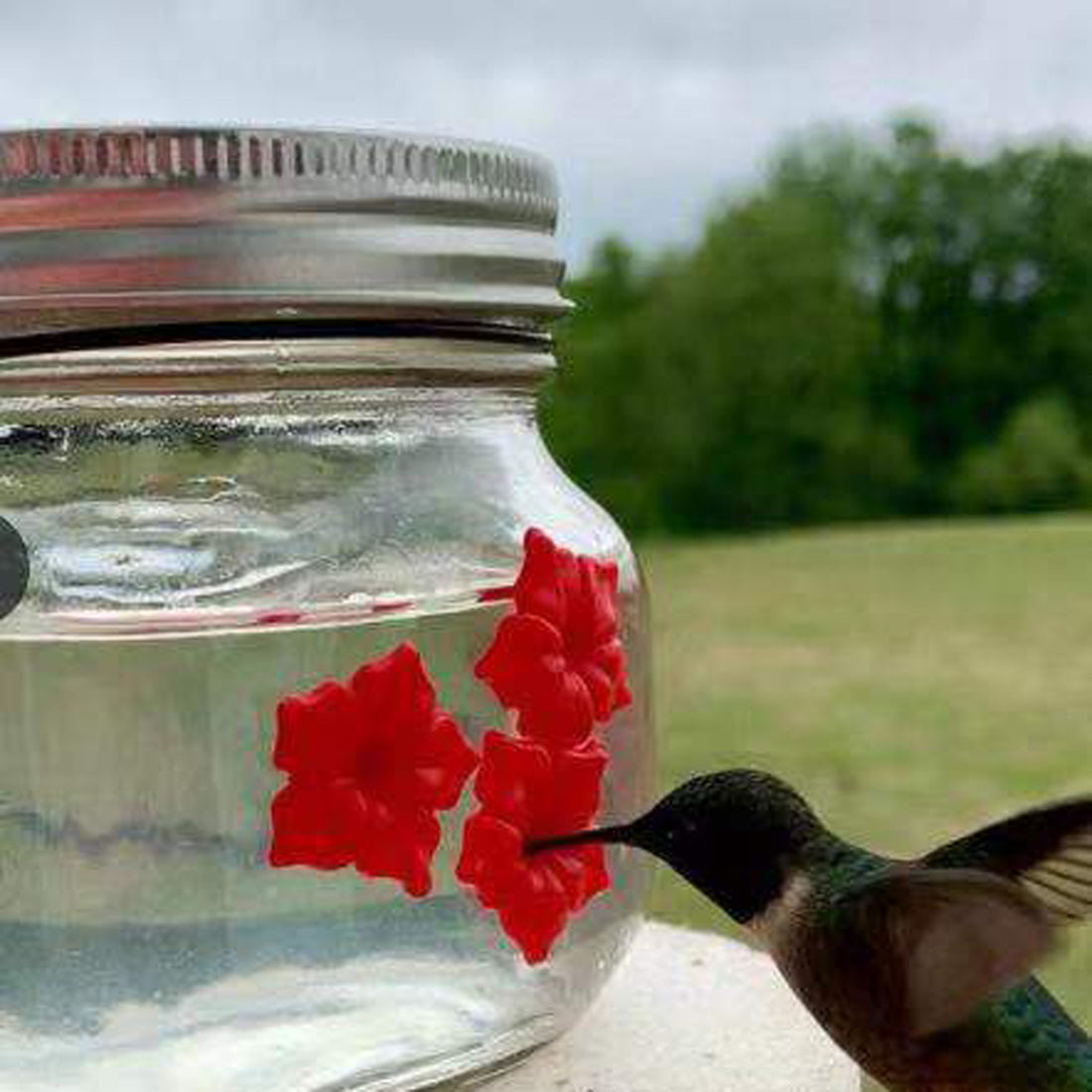 Hummingbird Feeder Plastic Flower Bird Feeder