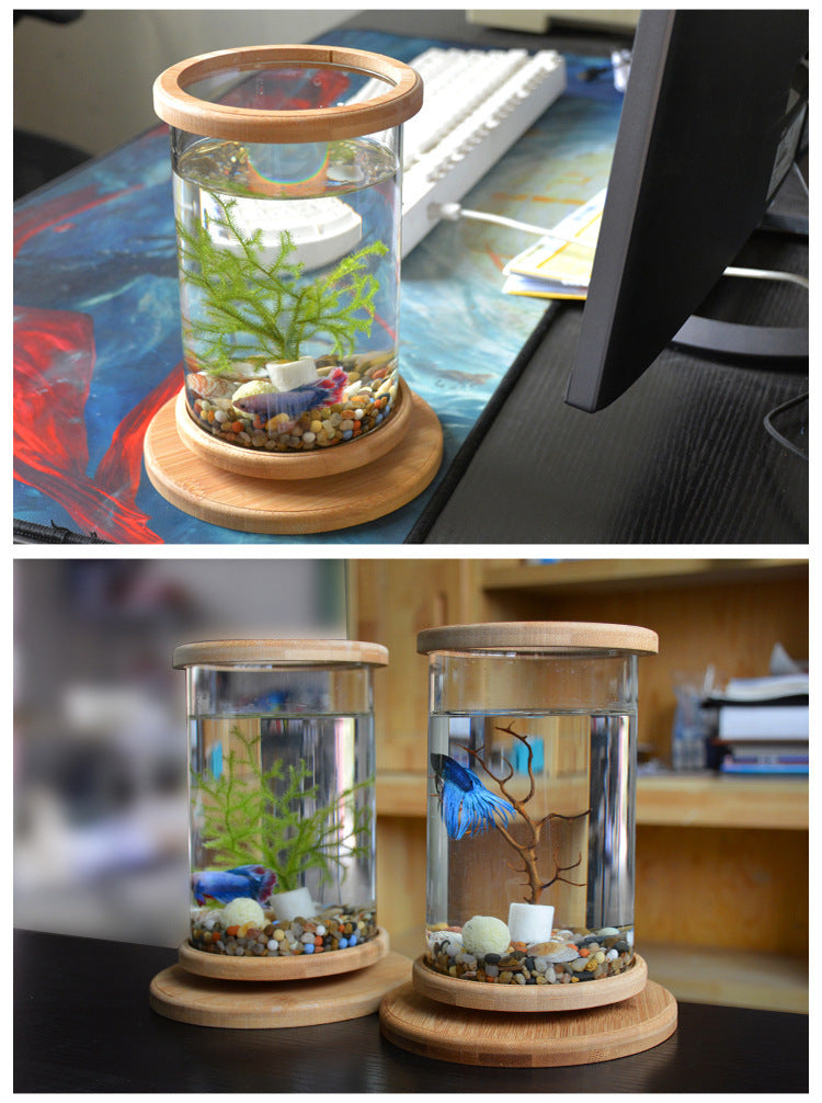 Small Office Glass Aquarium Bamboo Base