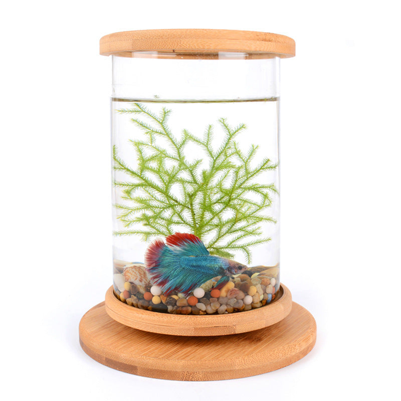 Small Office Glass Aquarium Bamboo Base