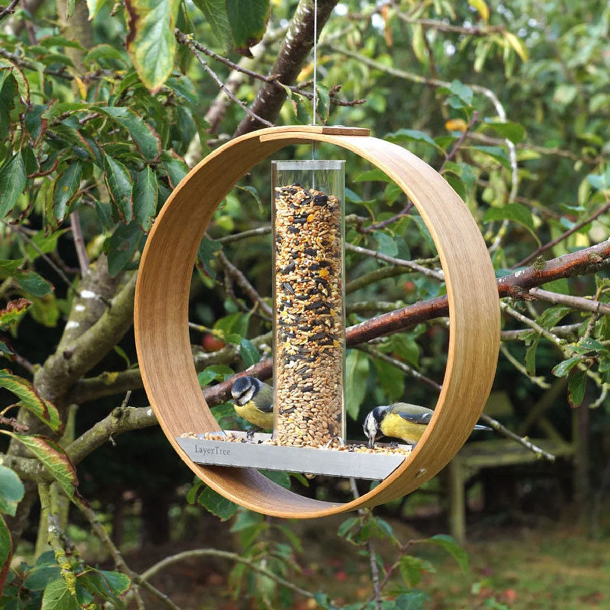 Simple Hanging Bird Feeder Birding