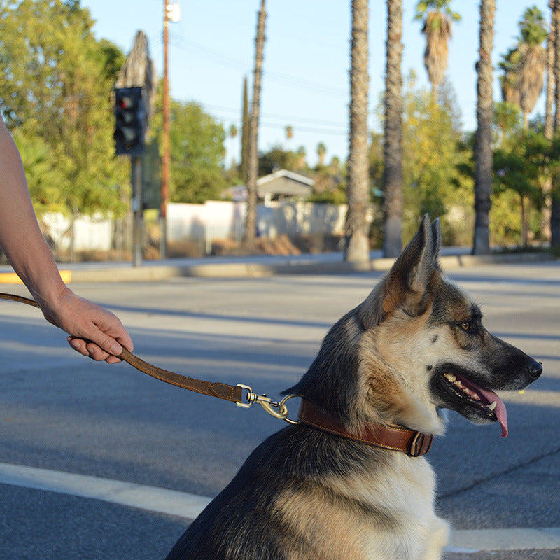 Crazy Horse Skin Puppy Hand Holding