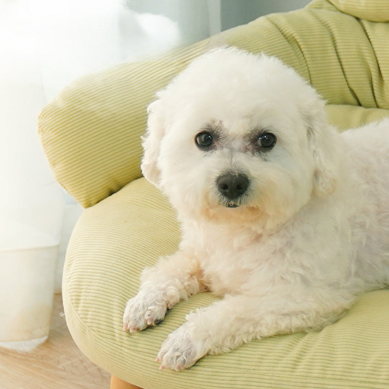 Four Seasons Universal Bed For Cats, Off Ground