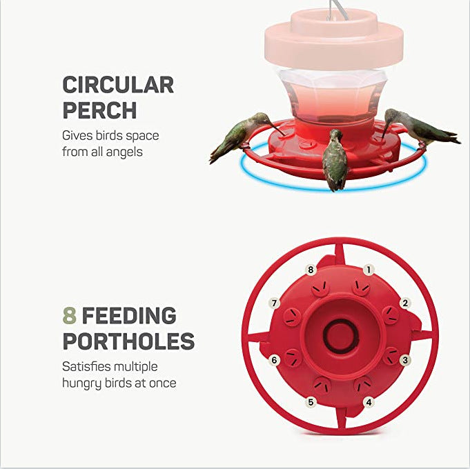 Feeder Bird Water Drinker Feeder Waterer