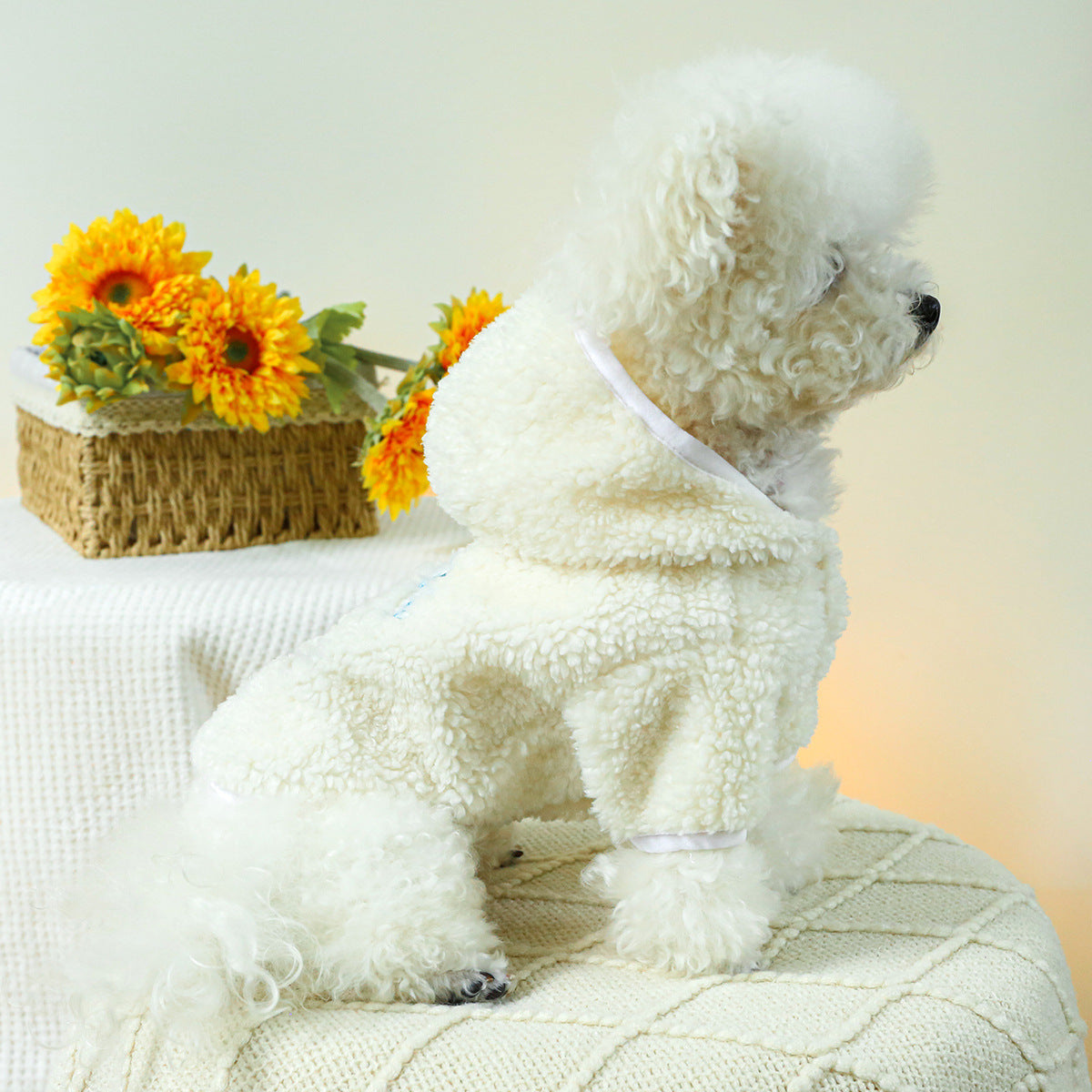 Pet Clothes Dog Cat Clothing Clothing