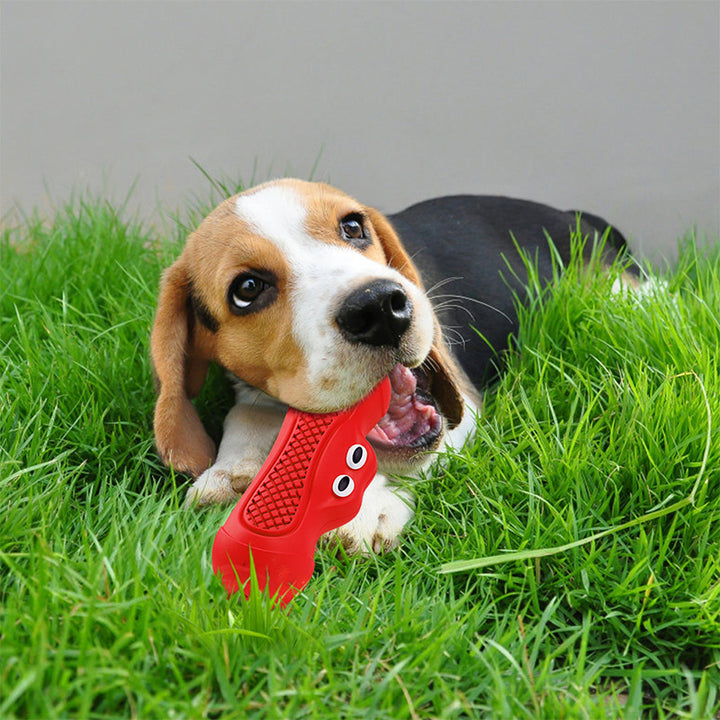 Vocal Rugby Pet Toys Natural Rubber Teething