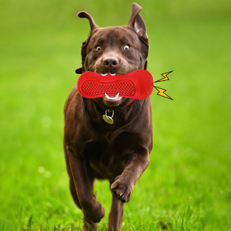 Vocal Rugby Pet Toys Natural Rubber Teething