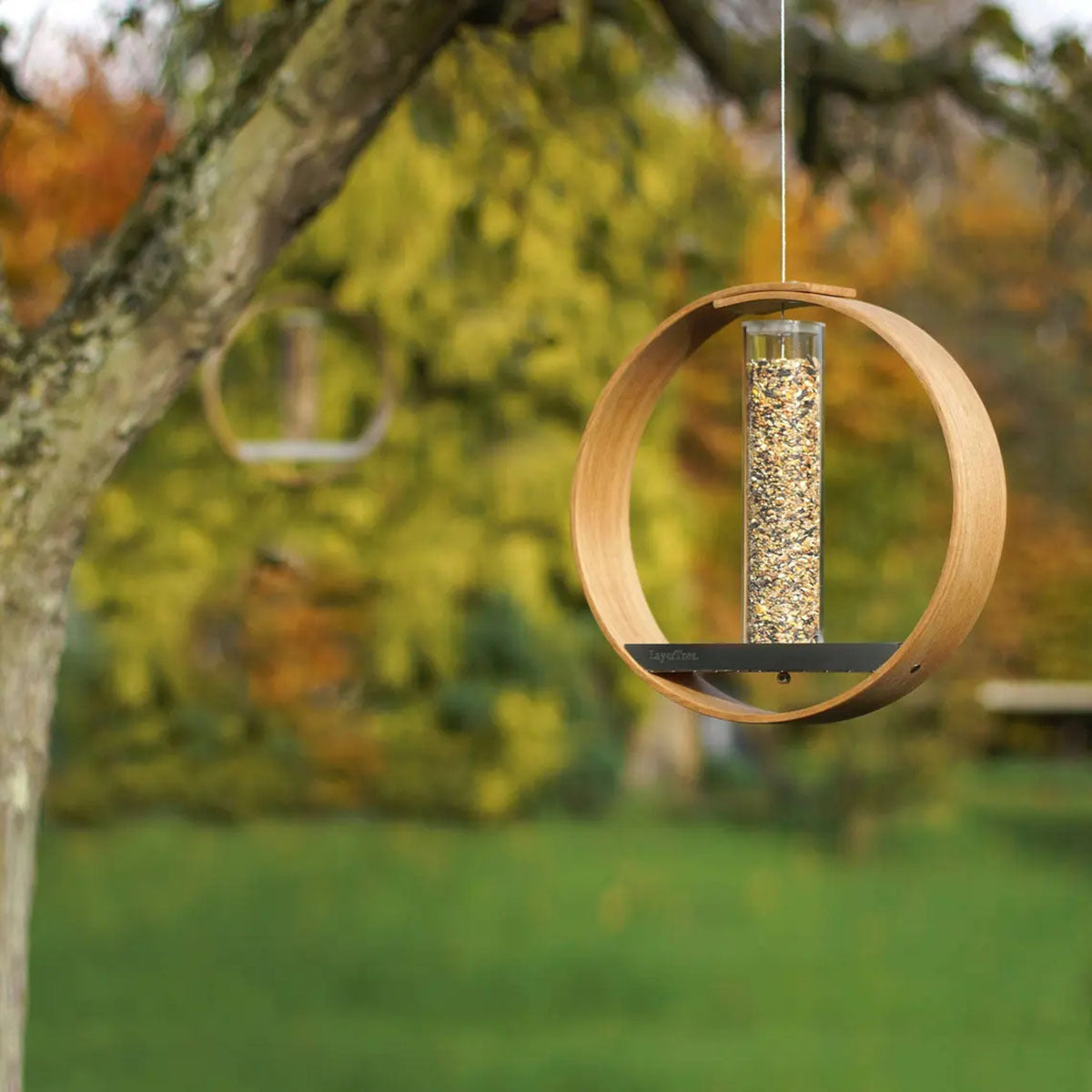 Simple Hanging Bird Feeder Birding