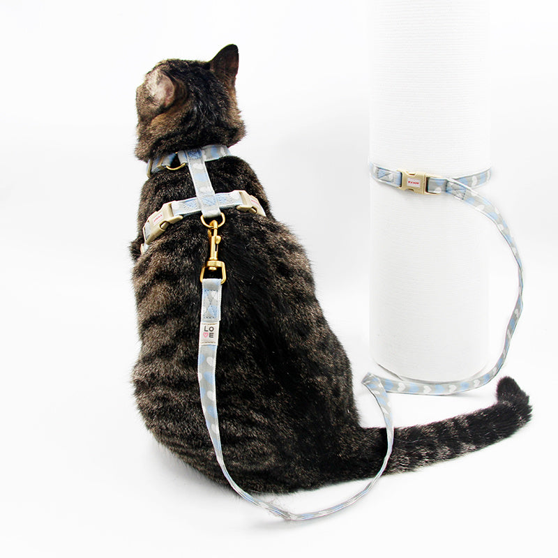 Cat And Dog Traction Rope British Short