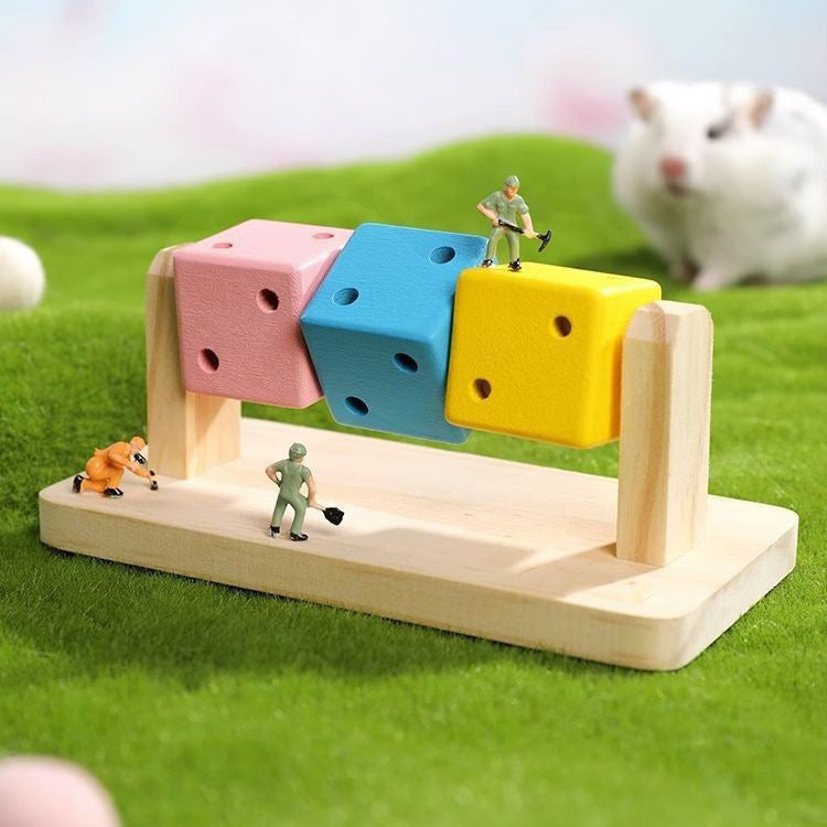 Fashion Personality Hamster Cube