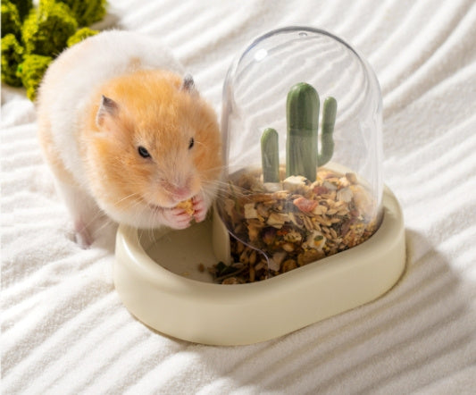 Home Hamster Creative Cactus Automatic