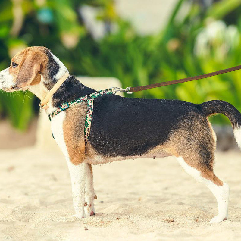 Crazy Horse Skin Puppy Hand Holding