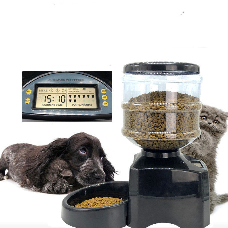 Three-meal Timed Quantitative Pet
