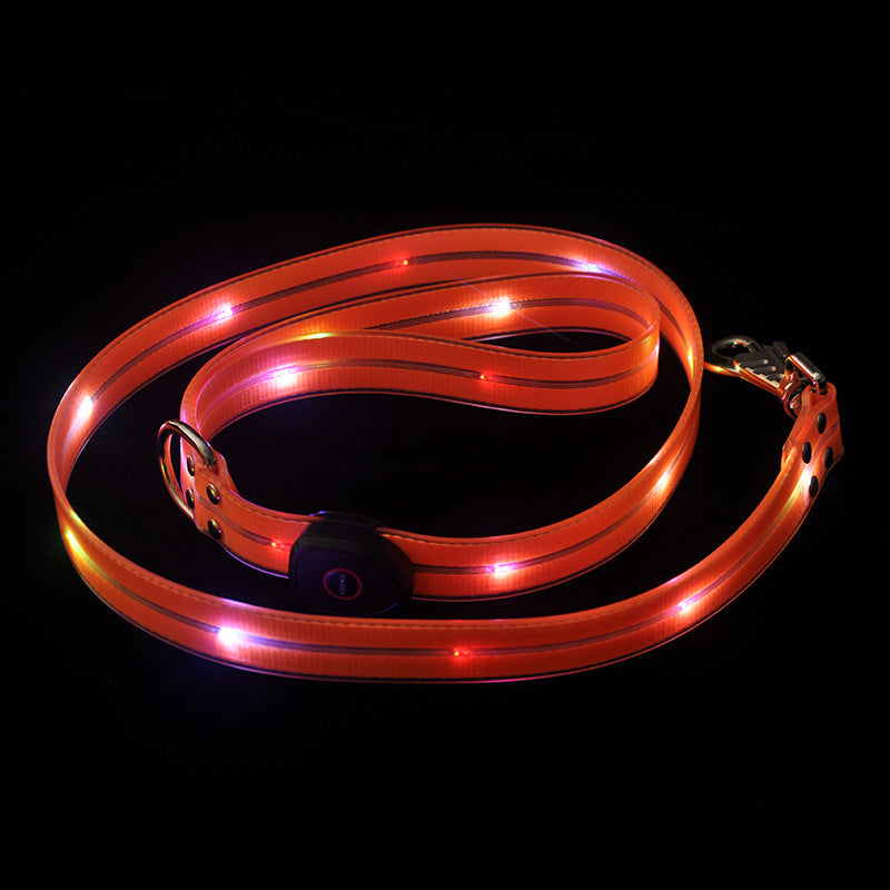 Luminous Dog Collar Colorful Pet Rope