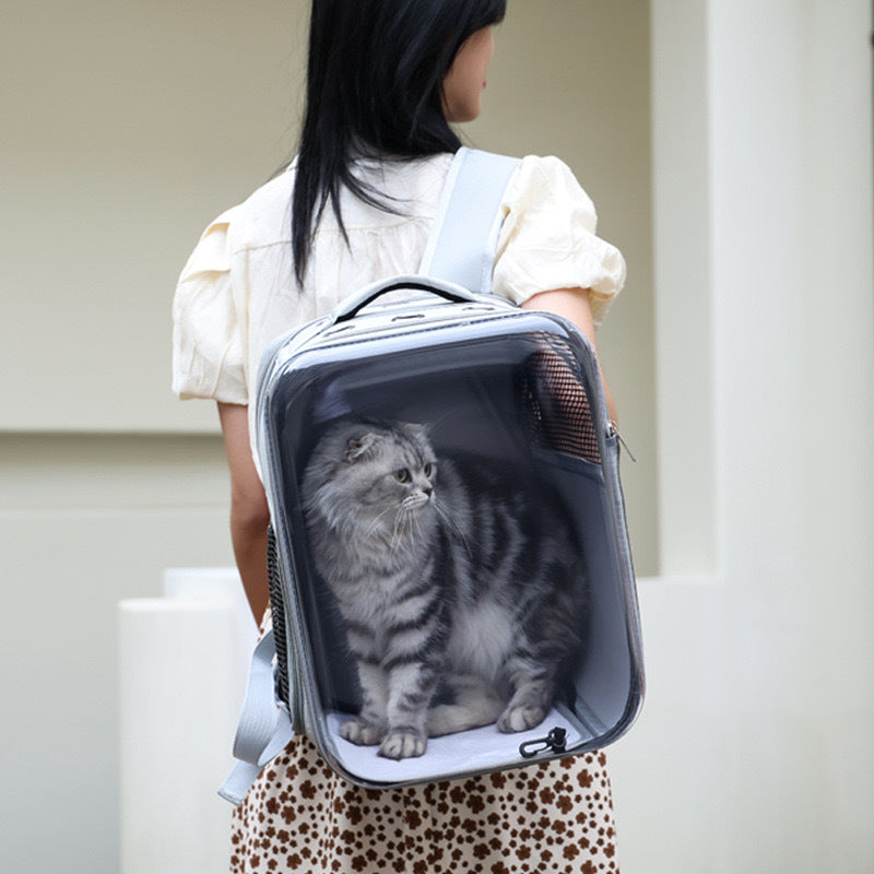 Cat Cage Fully Transparent Portable