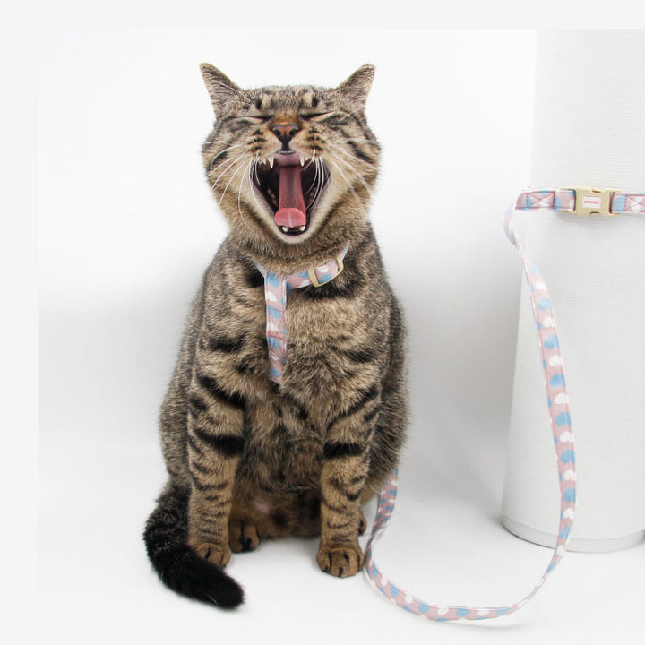 Cat And Dog Traction Rope British Short