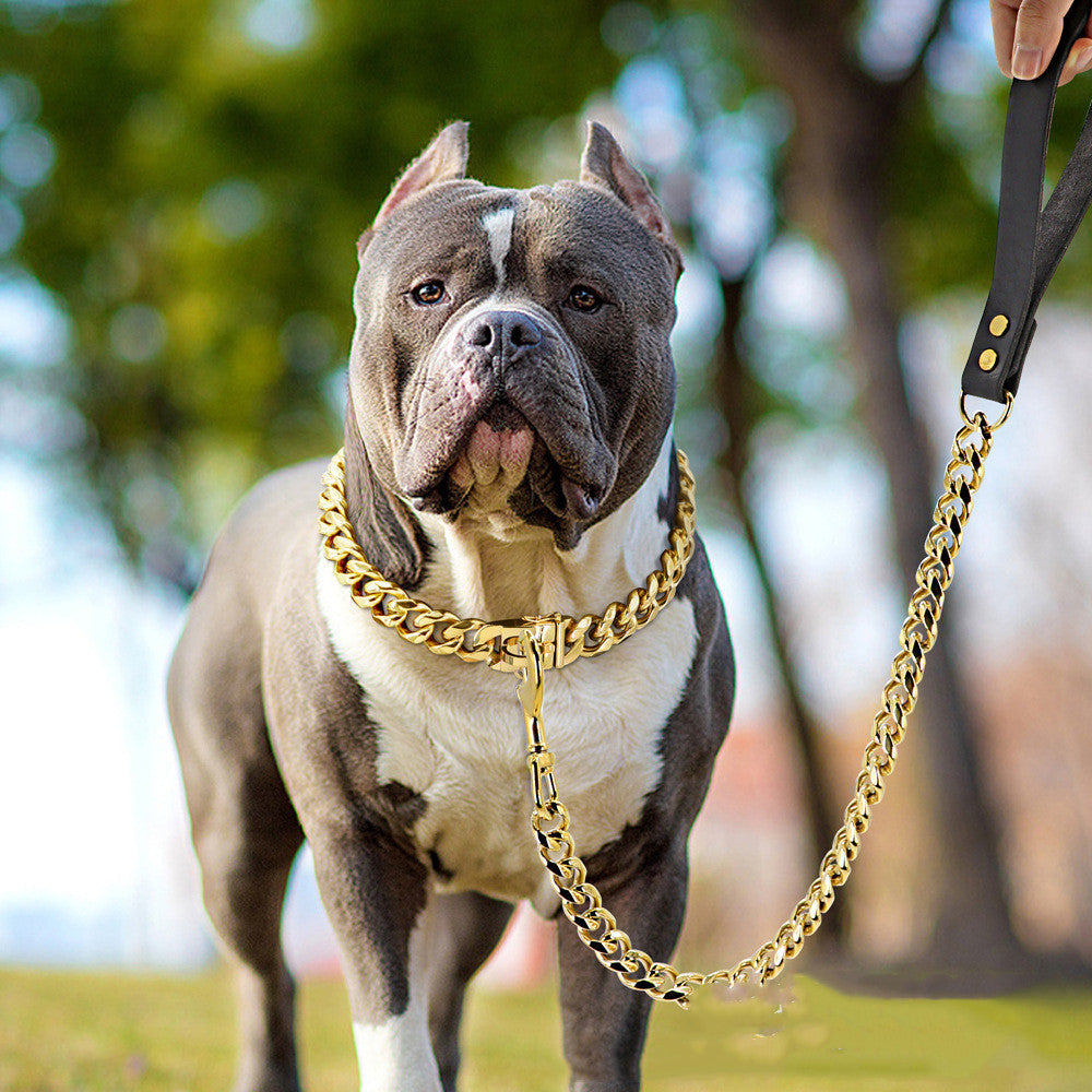 19mm Stainless Steel Golden Pet Dog