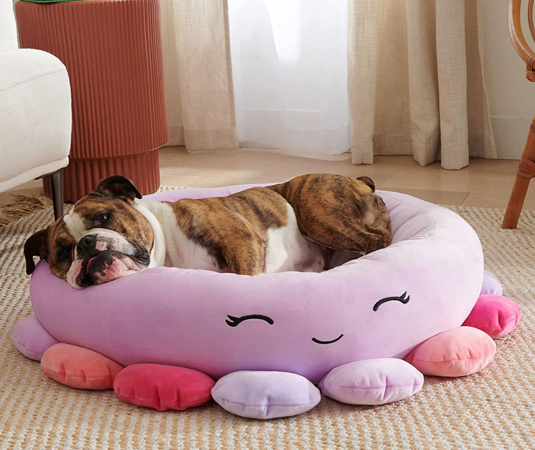Shark Pet Bed - Large Ultrasoft Official