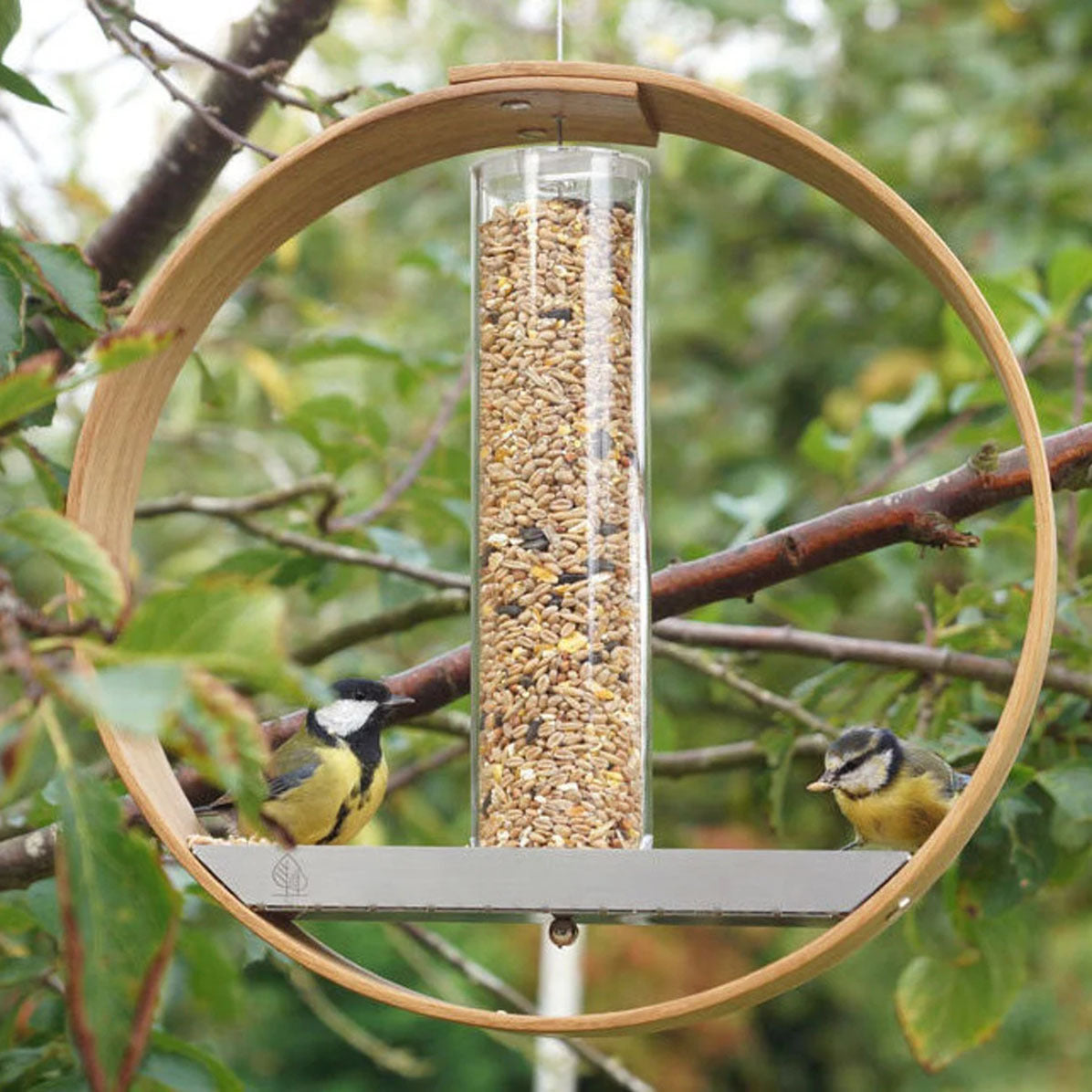 Simple Hanging Bird Feeder Birding