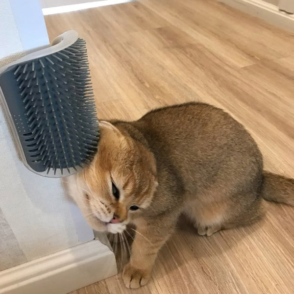 Cat Self-Grooming Brush Pet Wall