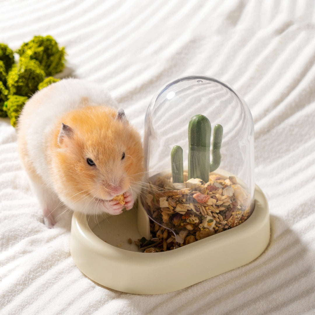 Home Hamster Creative Cactus Automatic