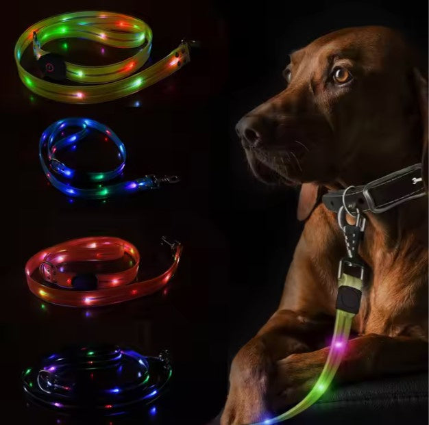 Luminous Dog Collar Colorful Pet Rope