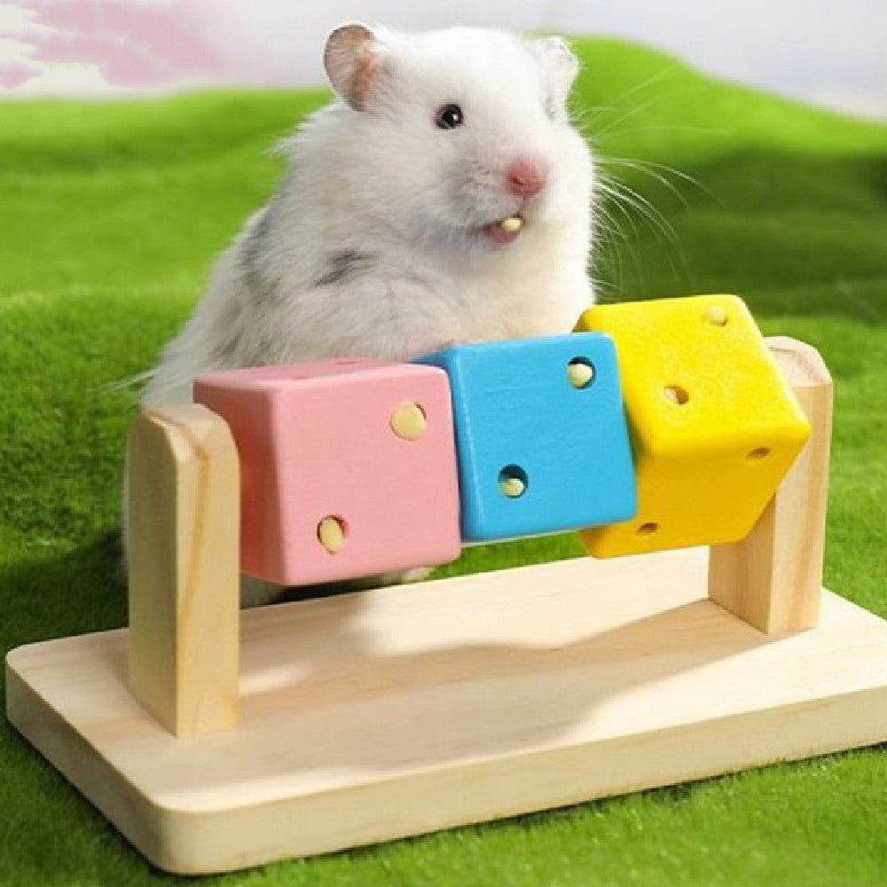 Fashion Personality Hamster Cube